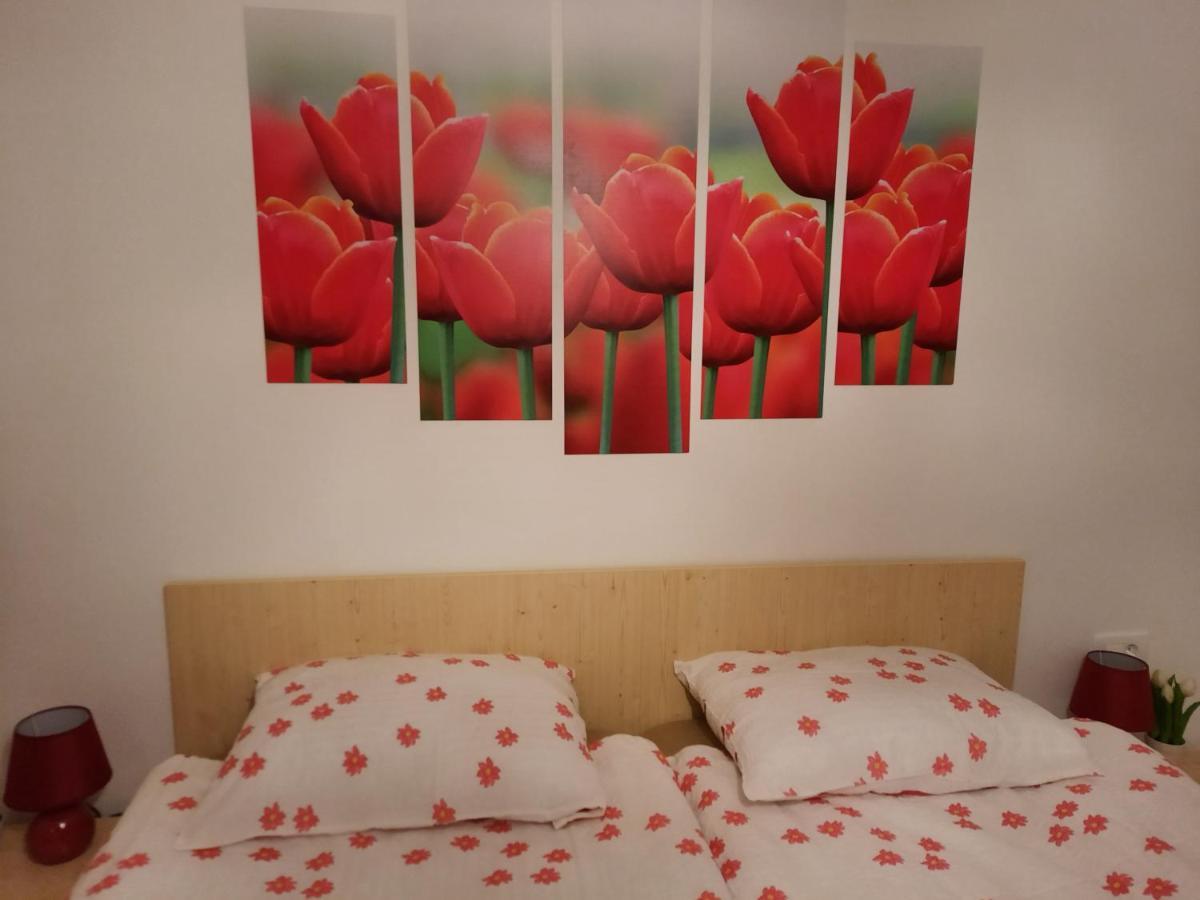 Apartma Rozle Mojstrana Extérieur photo