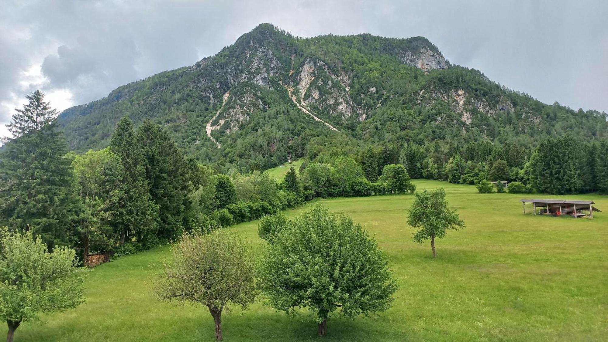 Apartma Rozle Mojstrana Chambre photo